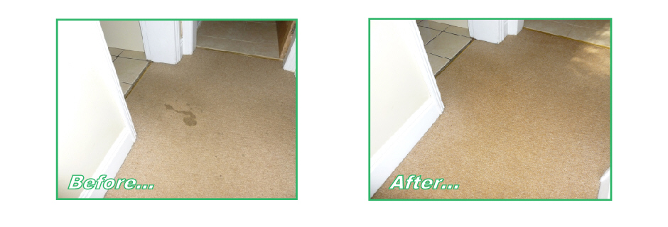Carpet before and after cleaning